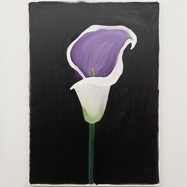 CALLA LILY PICASSO